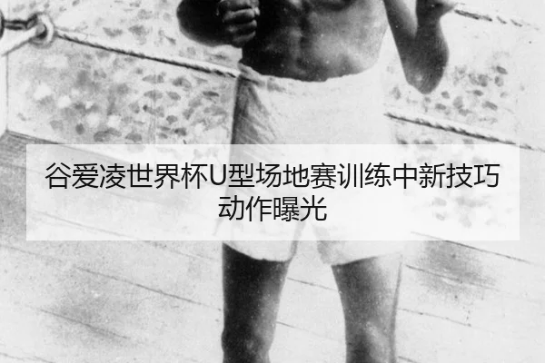 gu-ai-ling-shi-jie-bei-xing-chang-di-sai-xun-lian-zhong-xin-ji-qiao-dong-zuo-bao-guang-3-650.jpg
